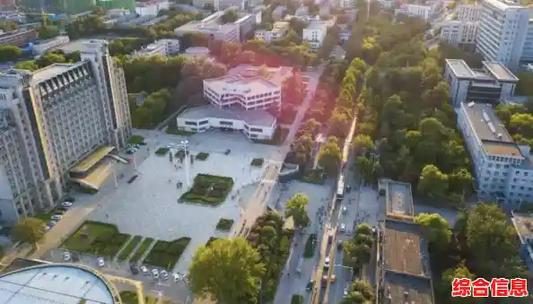 今日起，成都、大连等地恢复生产生活秩序→，河北今日起全域低风险