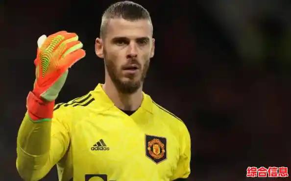 如何合理估算正版 Windows 11 操作系统的安装与激活总支出