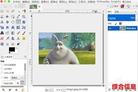 全面了解像素（px）测量单位在数字图像与界面布局中的关键作用