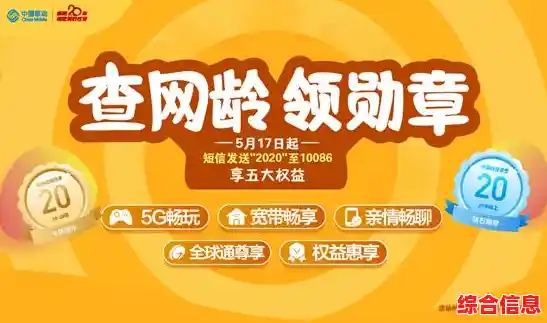 详细指南：如何高效准确地查询电信流量信息