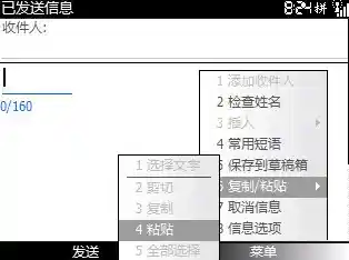 掌握高效复制粘贴技巧：提升日常工作流程的实用指南
