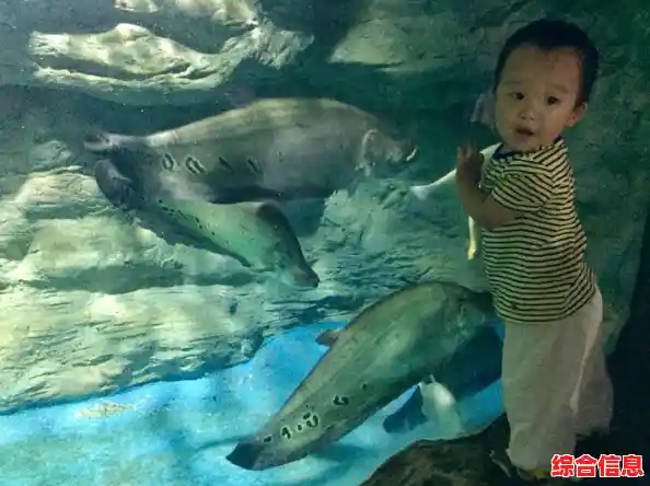 小鱼手把手教您:电脑连接电视的详细步骤与实用技巧 小鱼手把手教您:电脑连接电视的详细步骤与实用技巧