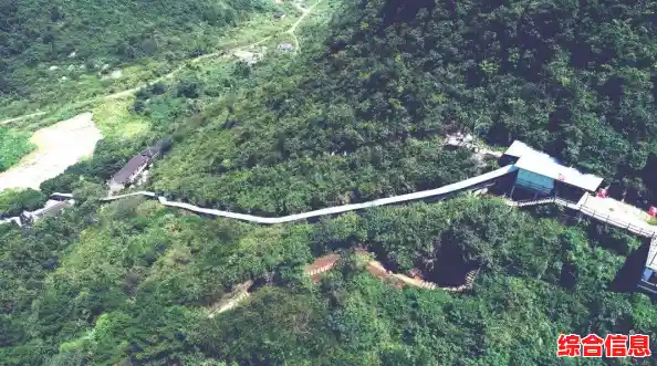 挑战多样赛道，解锁炫酷赛车？登山赛车1老旧版本》等你来战！