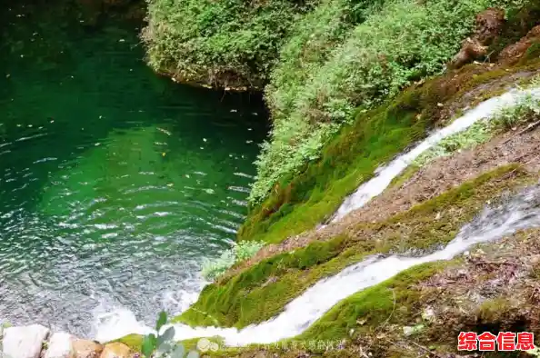 CPU天梯图手机壁纸-cpu天梯图知乎