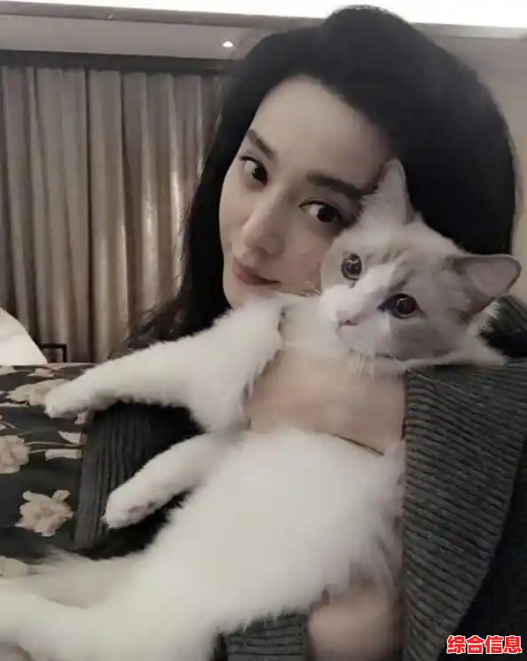 《遇见你的猫最新版》想体验成为完美铲屎官的乐趣吗？