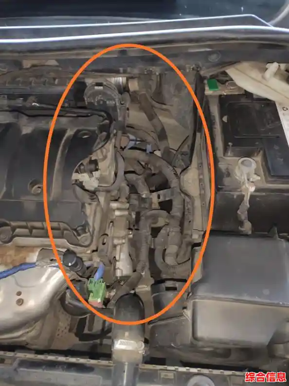 Windows 11系统安装终极指南：一步步教你安全高效完成设置