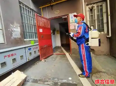 利用Win11暂存文件夹加速系统升级，确保更新流畅与稳定