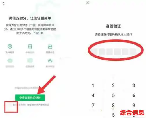 微信支付分如何获取？实用查询指南助你了解信用状况