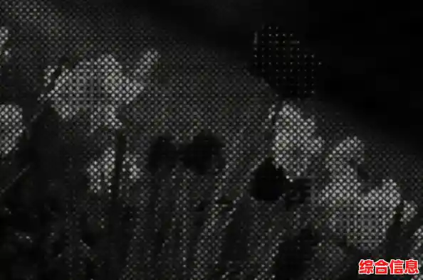 打开raw格式文件 打开raw格式文件不显示