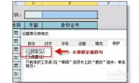 全面了解Excel加密设置，打造坚不可摧的数据防护体系