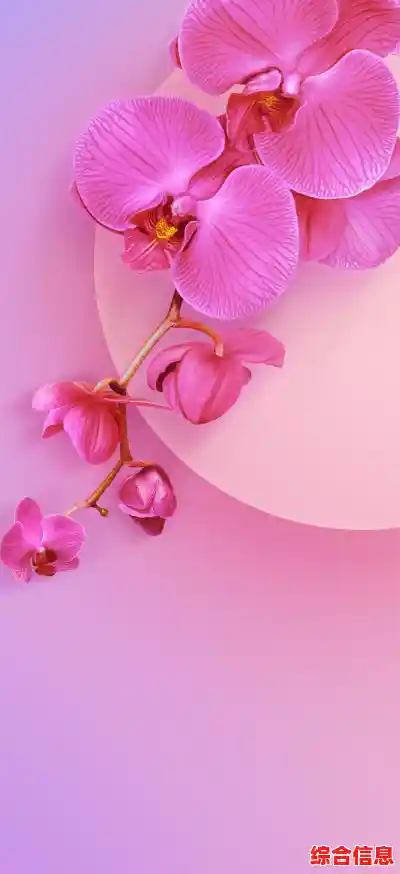 小米9性能机身/小米9性能参数