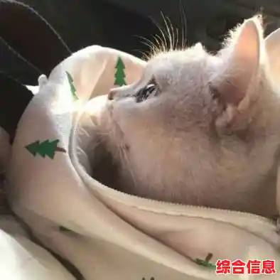 轻松注册QQ账号，开启便捷社交新体验