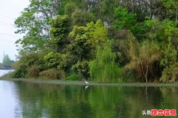 还在为游戏广告烦恼？奇怪的鸭子游戏免广告版》畅快收集小鸭子的快乐你确定不心动？