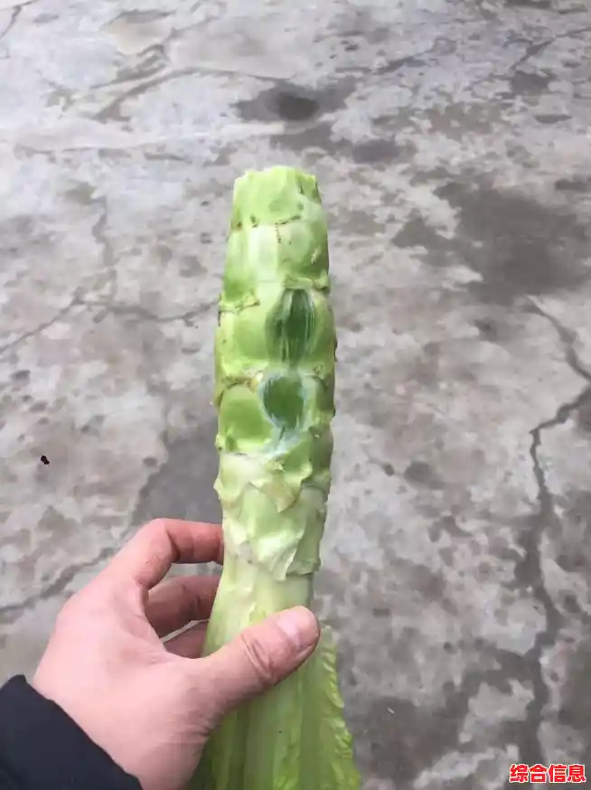 绵阳高新区最新疫情消息绵阳高新区最新疫情消息今天,绵阳疫情最新消息今天又封了