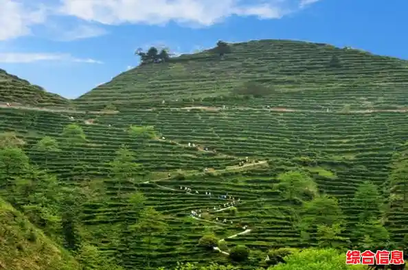 2022年最新移动处理器性能天梯图正式发布，手机芯片排行一目了然