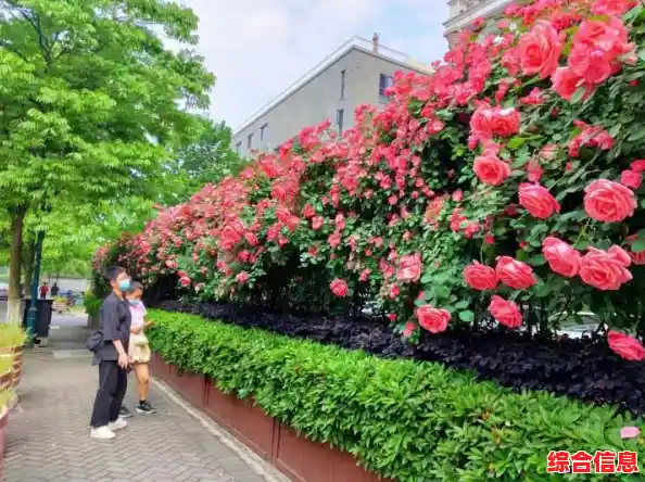 河南一感染者曾排队2小时做核酸，做核酸时如何避免被感染？，河南一感染者曾排队2小时做核酸