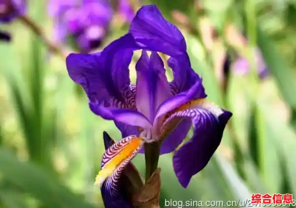 深入解析硬盘的基本概念与多功能应用场景