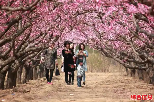 手机影视让娱乐更自由：无论何处皆可畅享高清电影与热门剧集