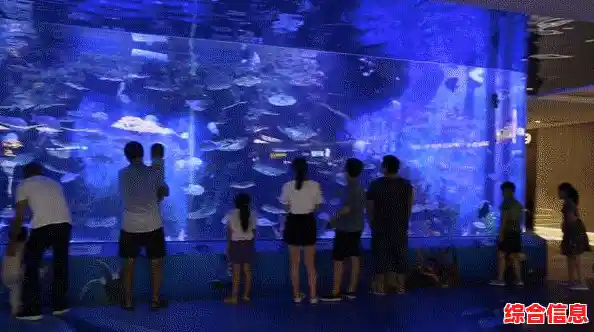 支持光追的显卡天梯图 支持光追的游戏名单 支持光追的显卡天梯图 支持光追的游戏名单