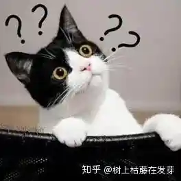 谁说养猫必须现实？猫咪后院汉化版》的卡通世界难道不能让你随时随地云吸猫？