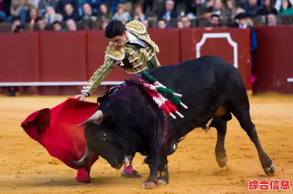 西班牙传统斗牛游戏/西班牙传统斗牛游戏