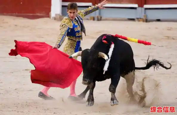 西班牙传统斗牛游戏/西班牙传统斗牛游戏
