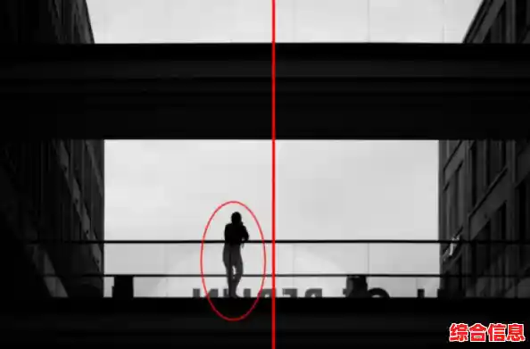 从零开始学单反：全面解析摄影技巧，助你快速提升拍摄水平