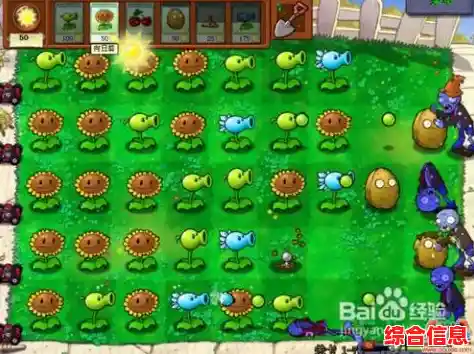 想体验植物大战僵尸盲盒版的随机惊喜？快来挑战你的策略极限吧！