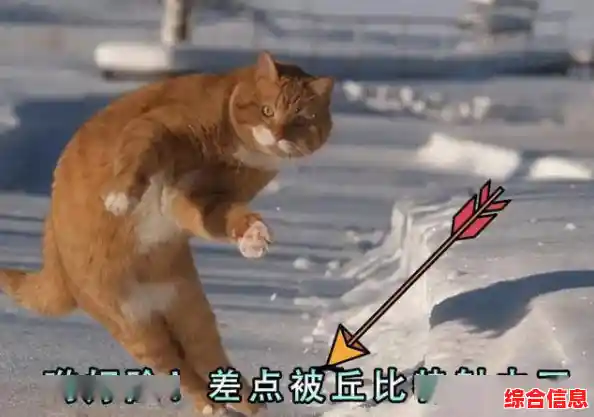 厌倦了单调的经营游戏?放克猫猫》带你解锁撸猫+养成的双倍快乐! 厌倦了单调的经营游戏?放克猫猫》带你解锁撸猫+养成的双倍快乐!