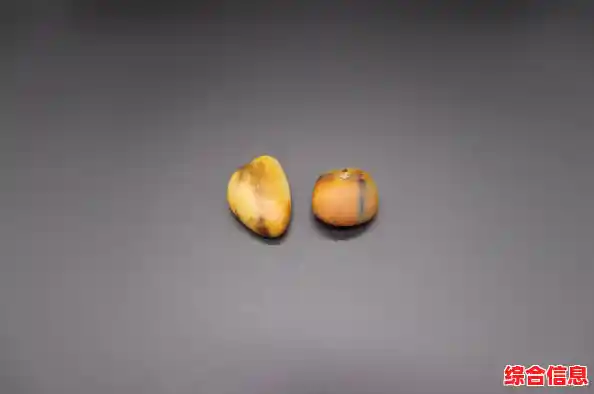 是否渴望亲手改造并买卖房屋?来试试“房产达人中文版”吧! 是否渴望亲手改造并买卖房屋?来试试“房产达人中文版”吧!