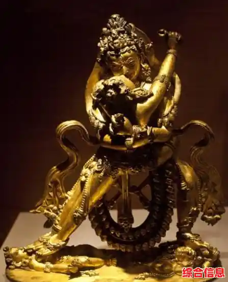 探索PE的多重含义：从金融到医学的广泛应用领域揭秘