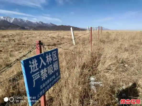 还在寻找一款考验战术的游戏？无尽布阵对局等你来挑战！