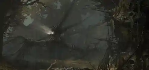 《神秘的诅咒森林》究竟有多神秘?你敢来一探究竟吗? 《神秘的诅咒森林》究竟有多神秘?你敢来一探究竟吗?