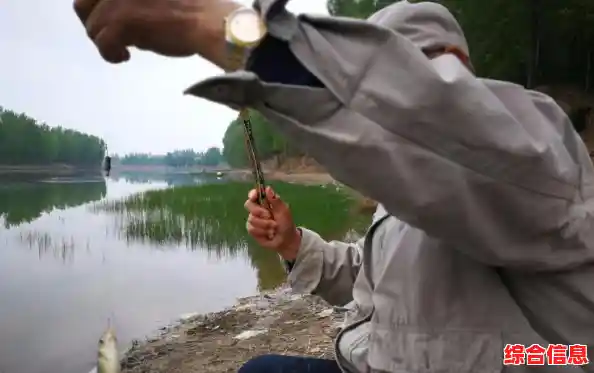 想在《老人与海》中体验丰富钓鱼乐趣？这款休闲小游戏你玩过了吗？