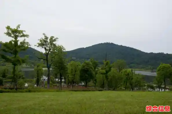 想体验无限创意与自由探索？试试全球热门的Minecraft1.21基岩版吧！