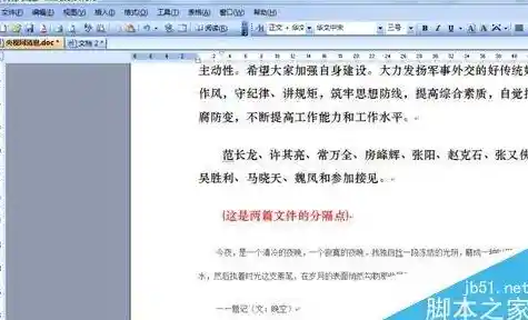 Word文档页码设置进阶技巧：灵活调整与专业排版方法解析