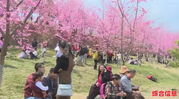 想体验多彩校园生活?樱花高校生活体验让你成为校园主角! 想体验多彩校园生活?樱花高校生活体验让你成为校园主角!