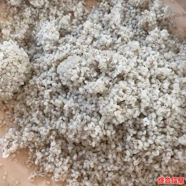 免费下载YouTube视频，一键高效获取资源，轻松保存喜爱内容！