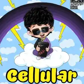 cellular版是什么意思/cellular是什么意思英语