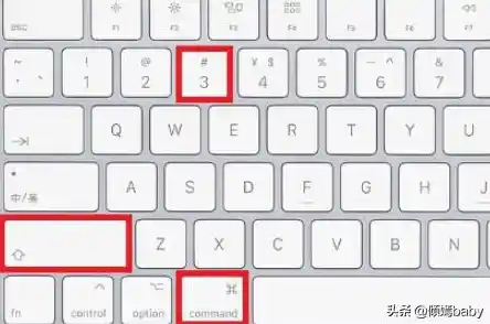 掌握Mac复制粘贴快捷键全攻略：操作更高效流畅
