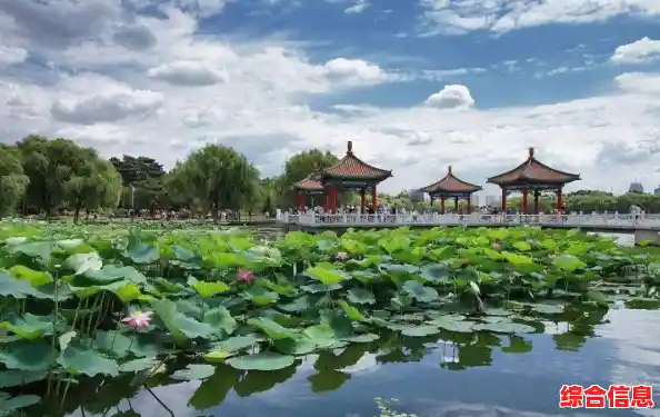 雨木林风官网：沉浸自然秘境，体验生态和谐之美