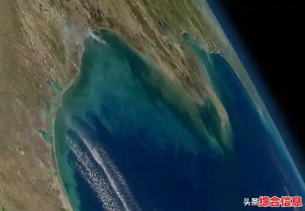 想体验独特的策略手游？微生物模拟器完整版》等你来探索！