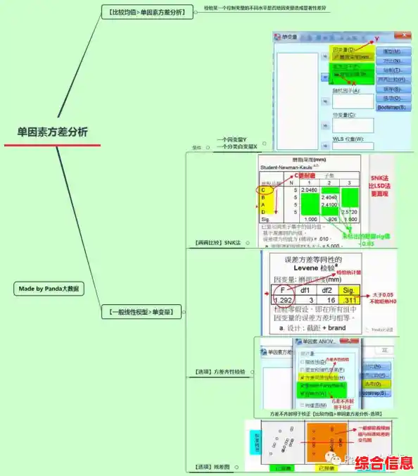 探索SPSS聚类分析如何提升数据挖掘的精确度与效率