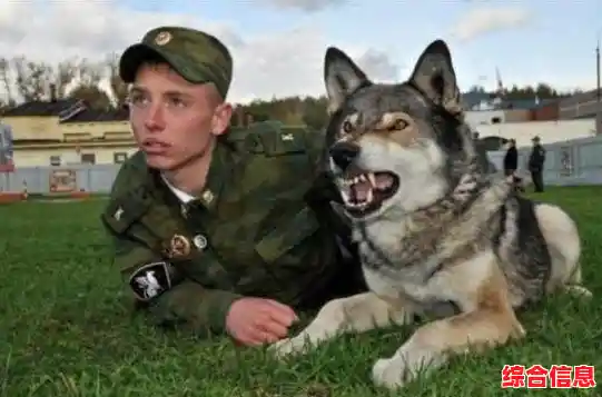 手机序列号查找与保护-手机序列号追踪 手机序列号查找与保护-手机序列号追踪