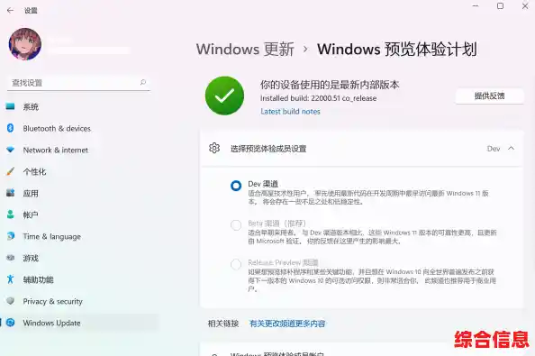 立即升级Windows 11？详解必要性与专业步骤指南