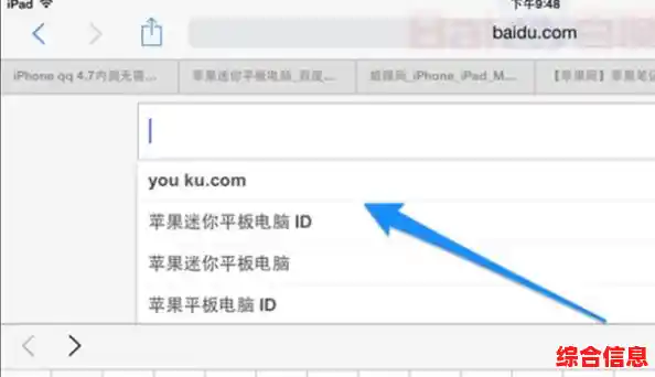 全面守护您的在线隐私：探索最安全的浏览器如何保障数据安全