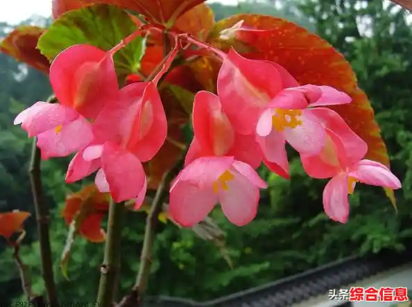 电脑休眠与睡眠_电脑睡眠和休眠区别