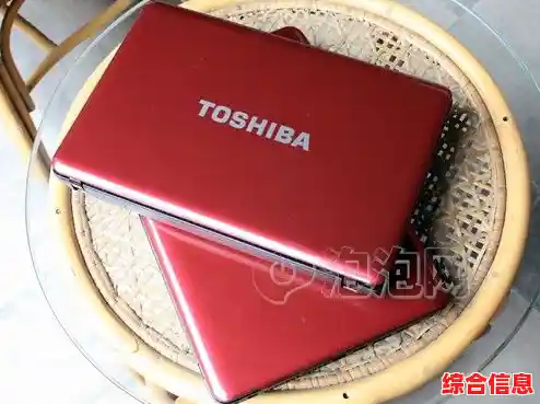 东芝L600,东芝l600笔记本最大支持内存 东芝L600,东芝l600笔记本最大支持内存