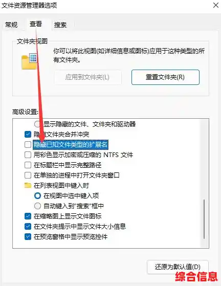 掌握Windows 11文件扩展名显示方法，轻松管理文件类型