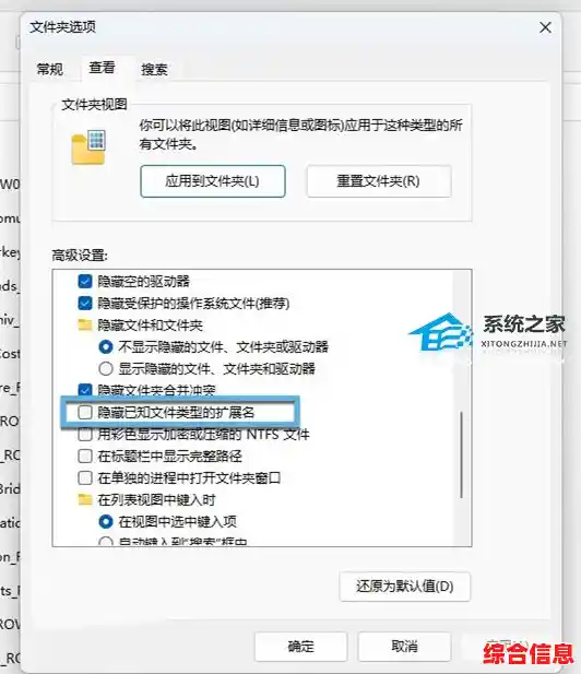 掌握Windows 11文件扩展名显示方法，轻松管理文件类型